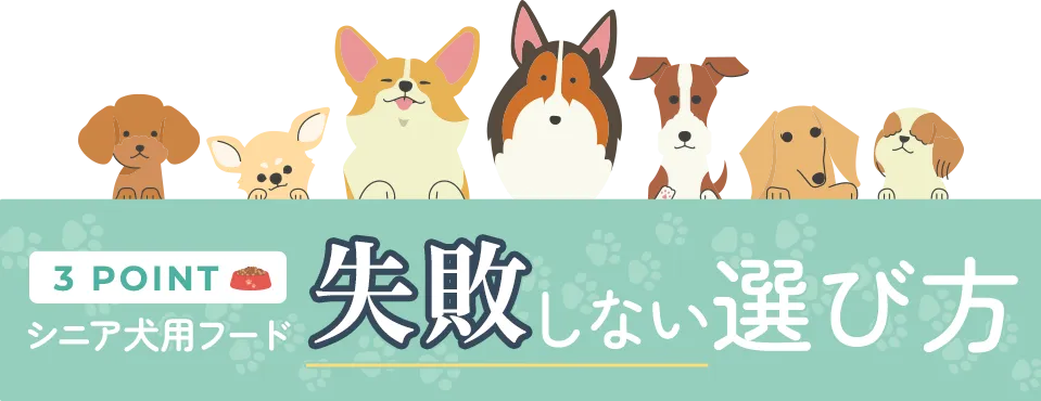 2024年最新！シニア犬用の失敗しない選び方