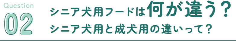 シニア犬用フードは何が違う？シニア犬用フードと成犬用フードの違い