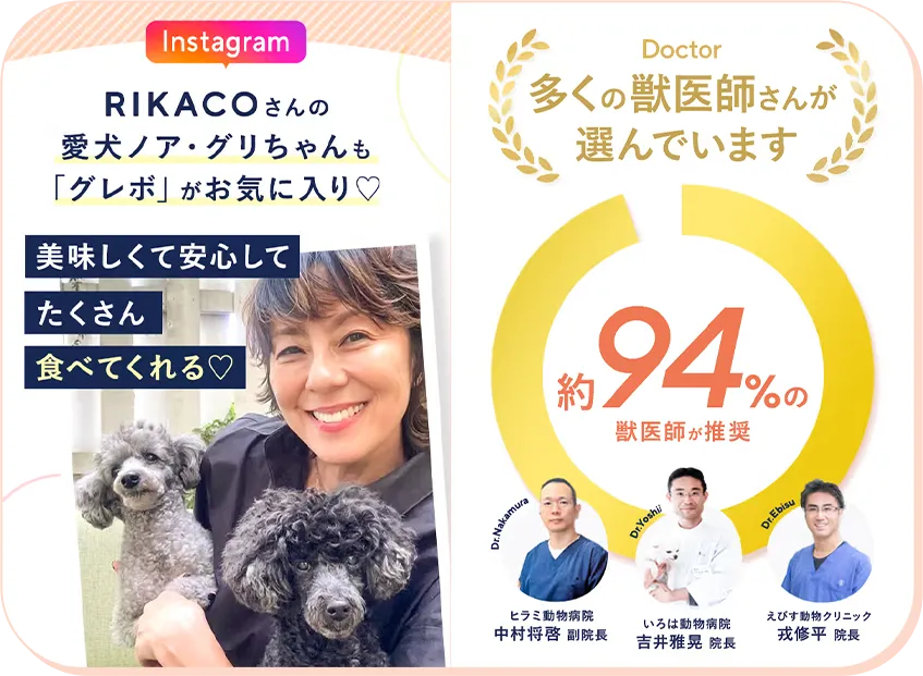 シニア犬用ドッグフード「グレボ」は獣医師さんやタレントRIKACOさんもイチオシ！