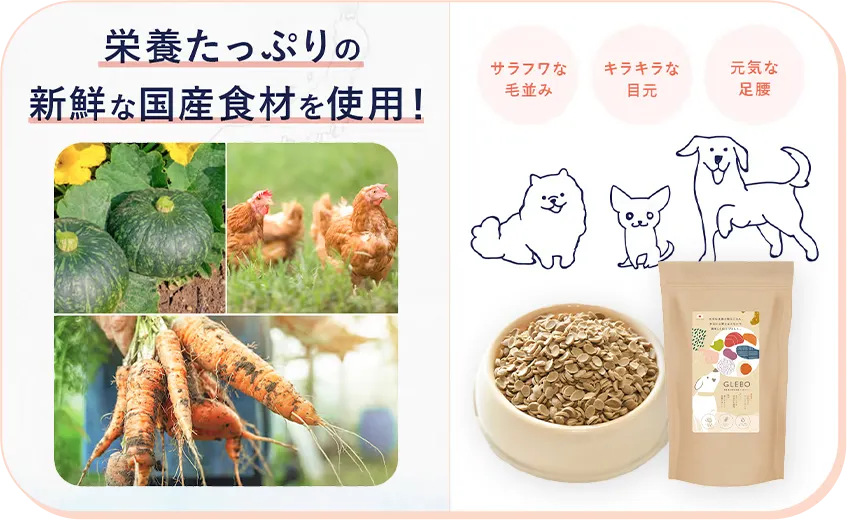 国産食材をたっぷり使用した栄養満点のシニア犬用ドッグフード「グレボ」！