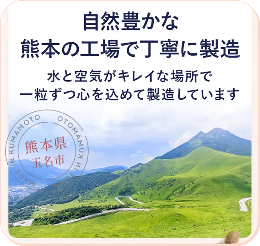 材料の産地や国内製造にこだわった、シニア犬用ドッグフード「グレボ」。