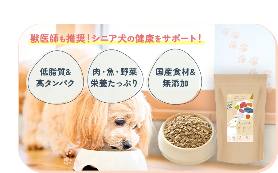 品質も栄養も満点！愛犬の健康と長生きのために選ぶなら、シニア犬用ドッグフード「グレボ」！